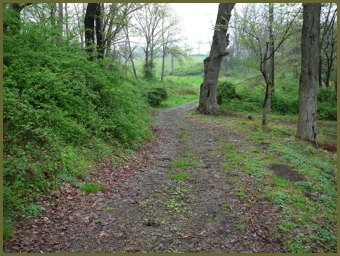 Horse riding trail toward Lambertville